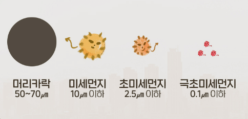 미세먼지 크기