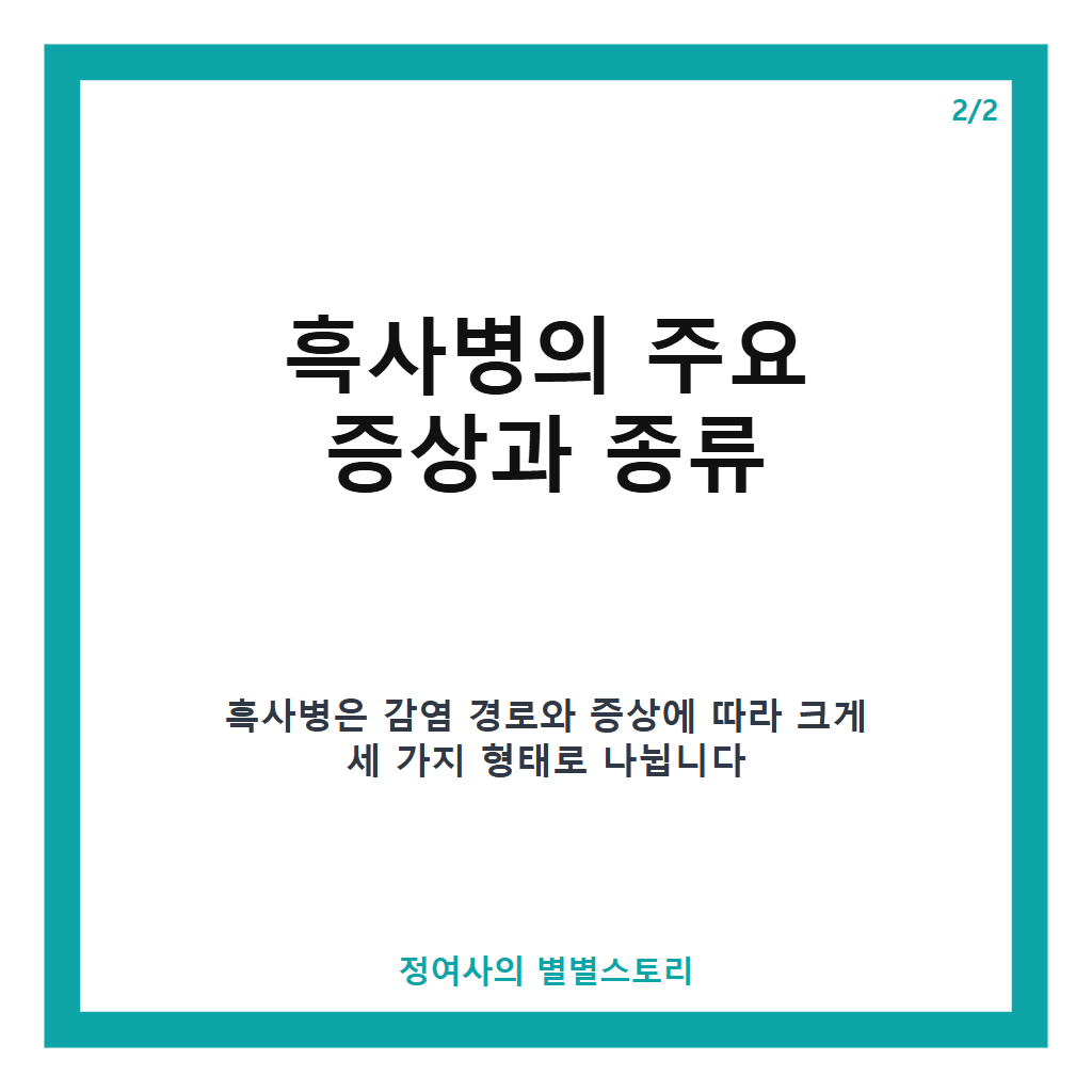 흑사병의 원인과 증상부터 예방까지 알아야 할 핵심 정보 카드뉴스 3
