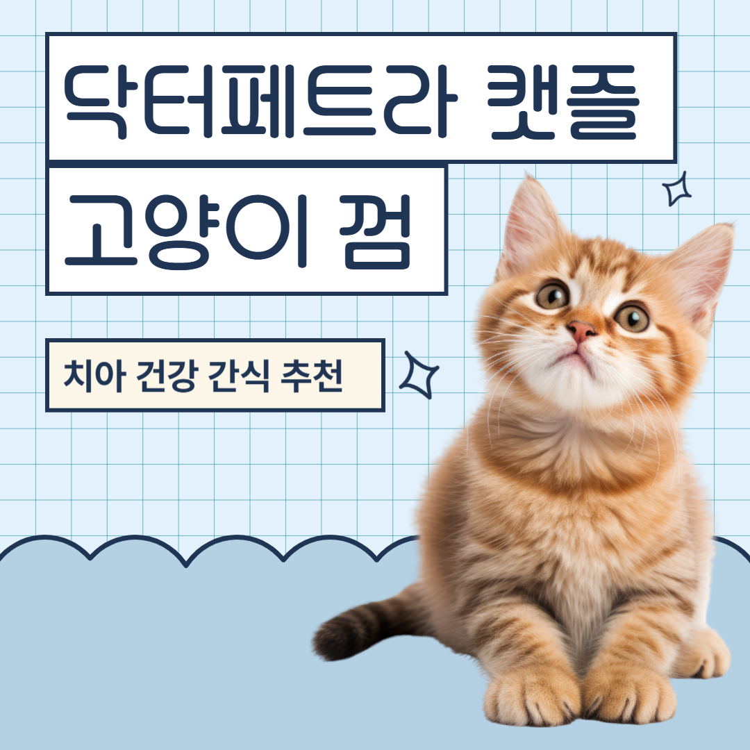 고양이 껌 닥터페트라 캣즐