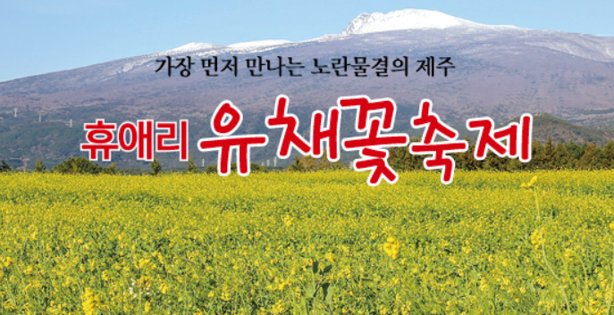 제주 휴애리 유채꽃 축제(휴애리 홈페이지)