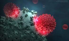 무료예방접종 자궁경부암 무료예방접종 A형간염 고위험군 무료 예방접종 대상포진 무료예방접종 무료 예방접종 독감 무료예방접종 무료 예방접종 나이 독감예방접종 무료대상 자궁경부암 예방접종 무료대상 무료 독감 예방접종 나이 인플루엔자 무료 예방접종 무료 독감예방접종 지정병원 무료 독감예방접종 시기 65세 독감 무료 예방접종 무료 독감예방접종 예약 폐렴구균 예방접종 무료 장애인 무료 독감예방접종 시기 기초생활수급자 독감예방접종 무료대상 무료예방접종 종류 무료예방접종 폐렴 무료예방접종 독감 65세이상 무료예방접종 폐렴구균 무료예방접종 65세 이상 대상포진 무료예방접종 65세 무료 예방접종 65세이상 무료 예방접종 자궁경부암 무료 예방접종 나이 인플루엔자 무료예방접종 무료예방접종대상 2021 독감 무료예방접종 폐렴 무료 예방접종 독감무료예방접종기간 대상포진 무료 예방접종 대구북구보건소 무료 예방접종