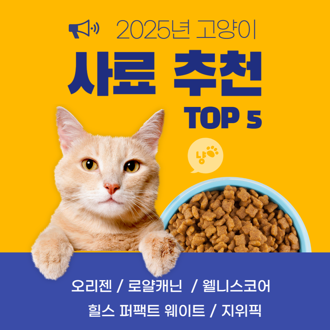 고양이 사료 추천