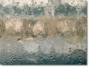 제습기 추천 가격 비교 원리 효과 2024