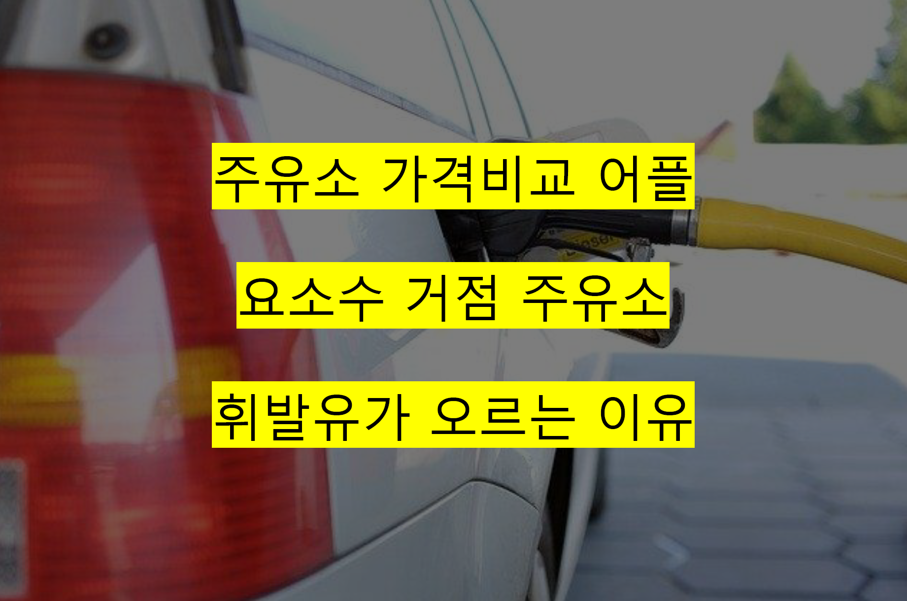 주유소 가격비교
오일나우