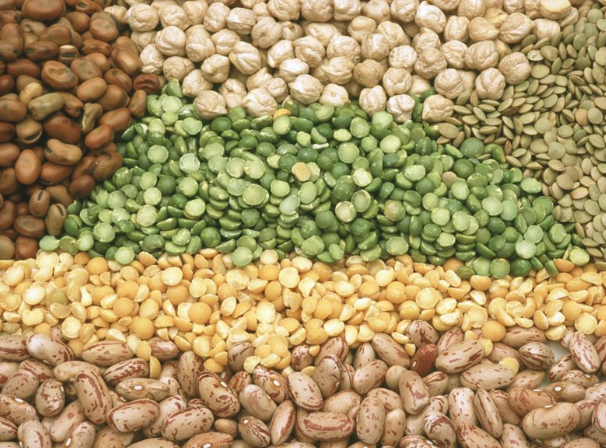 당뇨병 식사관리 복합당질