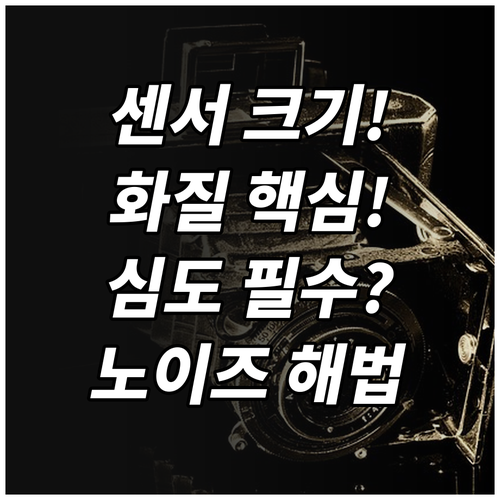 카메라 센서 크기가 화질, 심도, 노..
