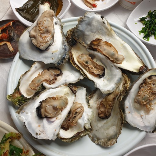 하동 벚굴