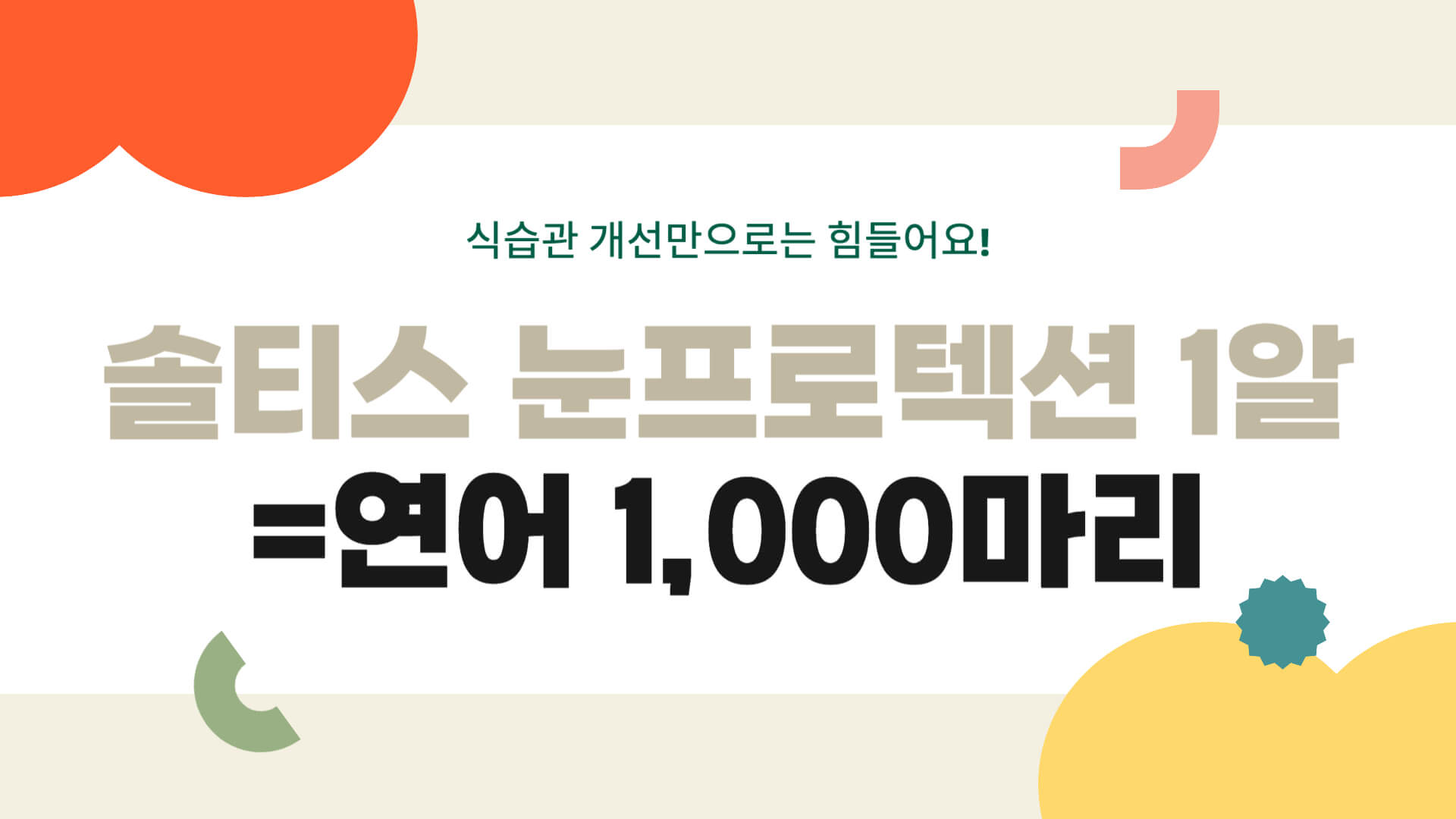 솔티스 눈영양제 눈프로텍션