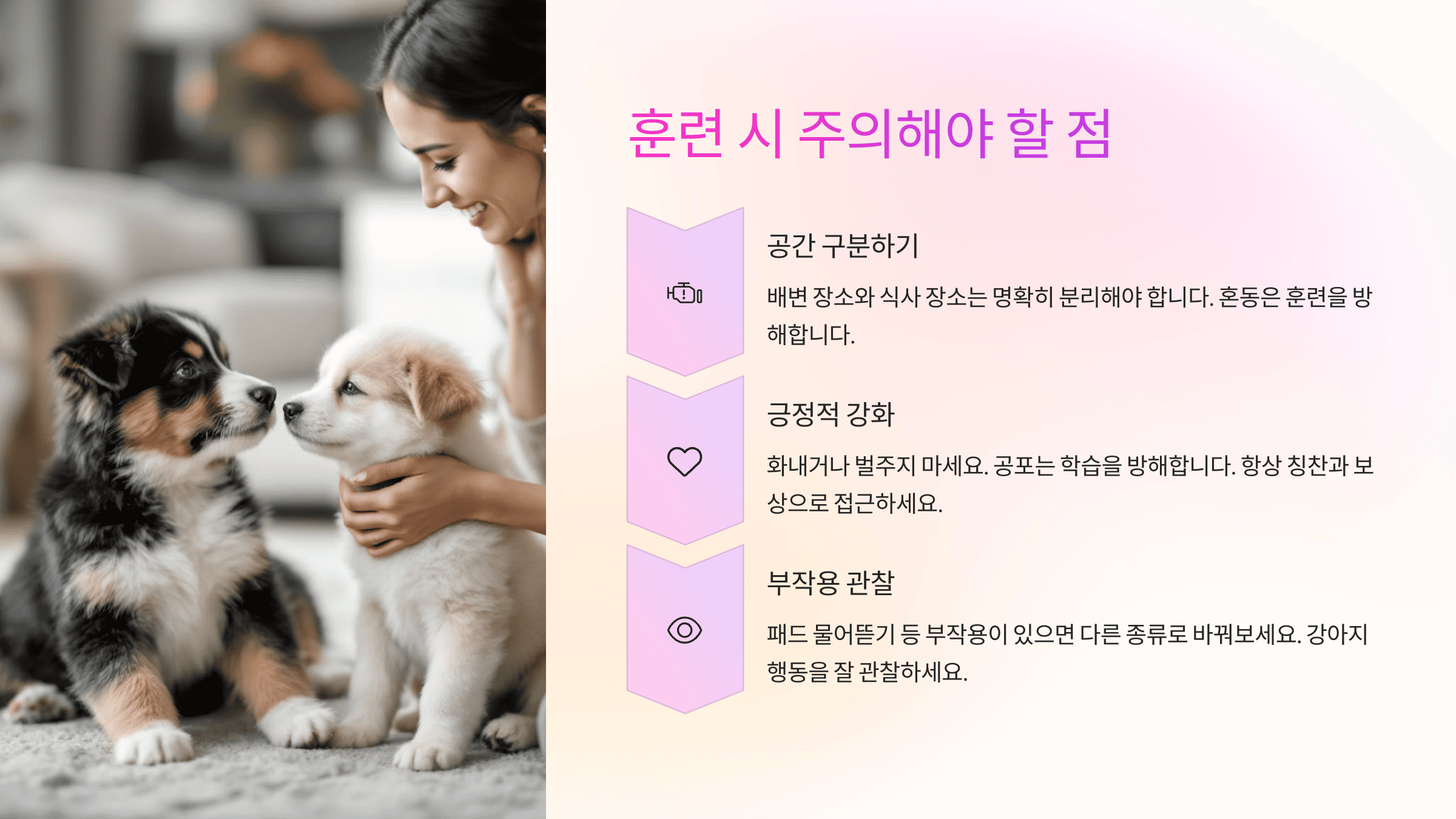 강아지 배변 훈련 시 주의해야 할 점