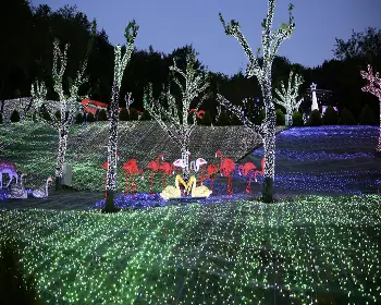 청도 프로방스 빛축제_11