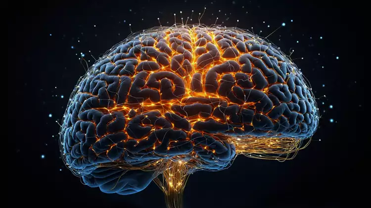 딥러닝-Deep-Learning-개념-정리-설명-이미지