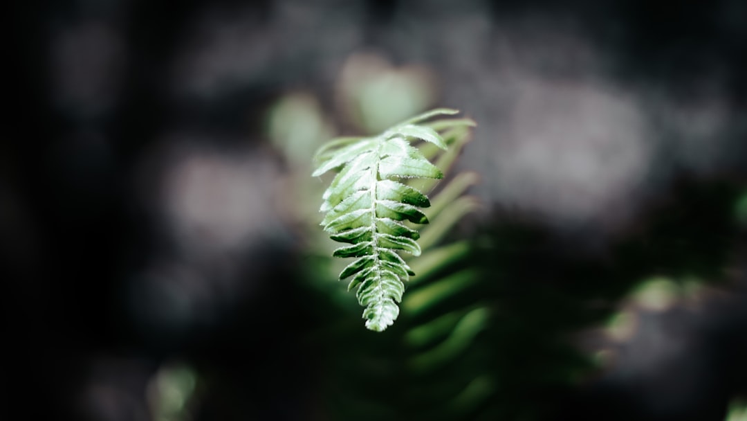 Growth.