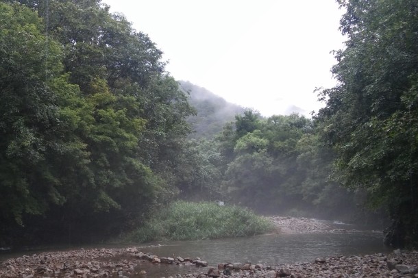 [강원도 여행지 추천] 양구 가볼만한 곳 베스트 10 천미계곡
