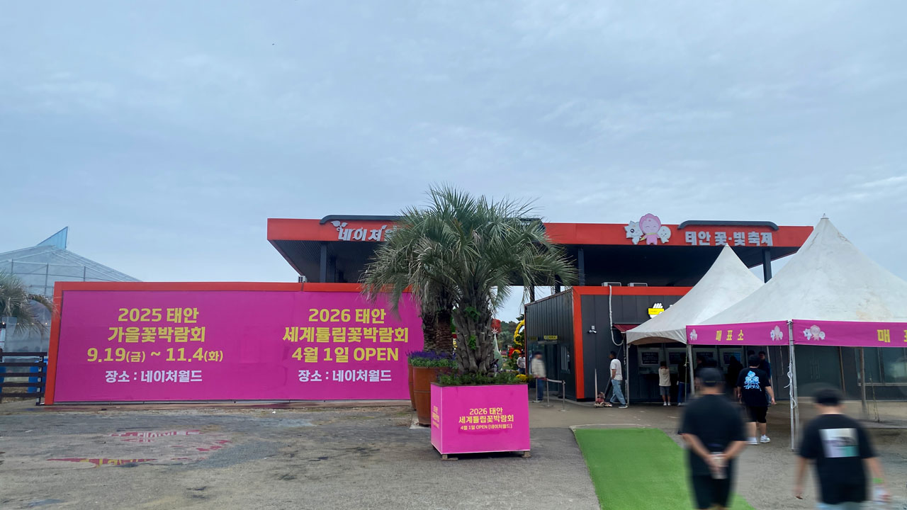 태안 가을꽃박람회 매표소로 향하고 있다.