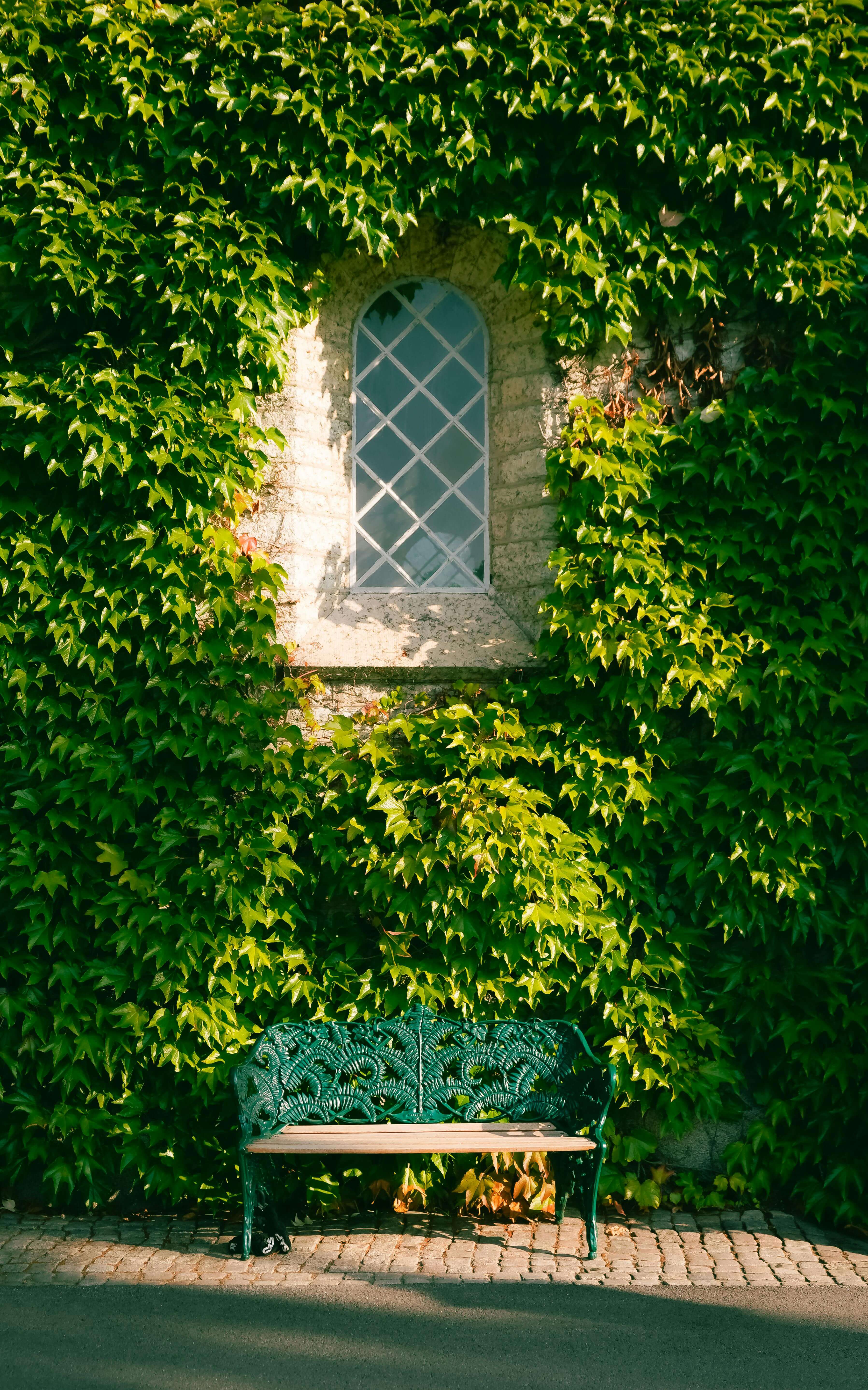 기본증명서 인터넷발급 방법25