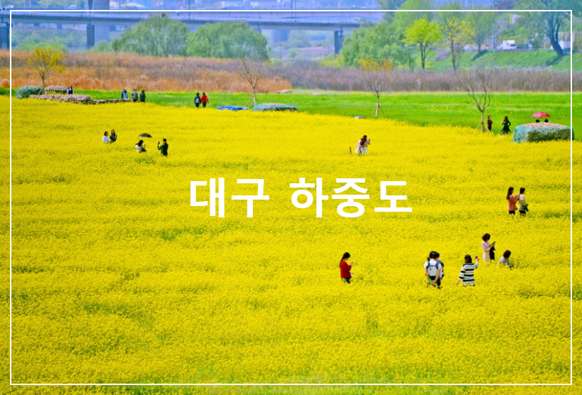 대구 하중도