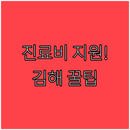 단순 외형 개선보다 치료 우선 김해시..