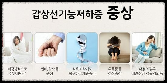 갑상선기능저하증 증상