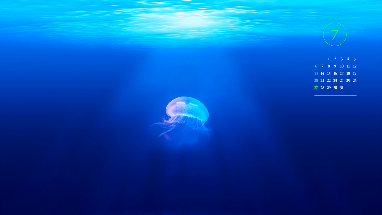 04 수면 아래 해파리 A - 2025년7월 노트북배경화면