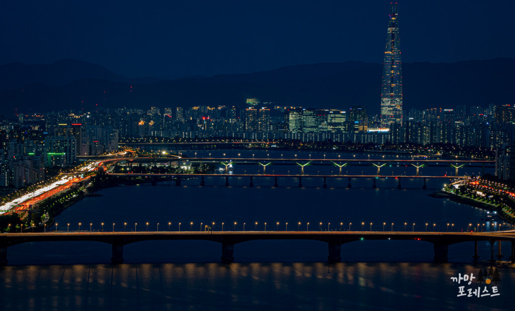 매봉산 공원 야경