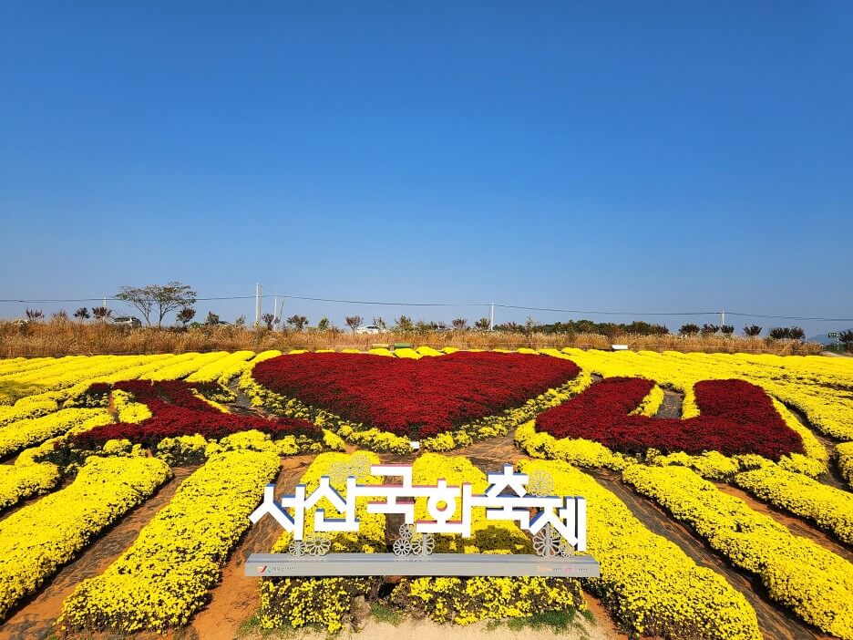 서산국화축제 I♥U 정원