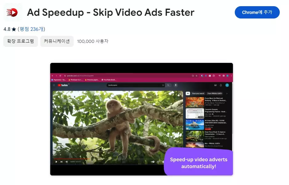 유튜브 광고를 빠르게 넘겨주는 확장프로그램 캡쳐 1