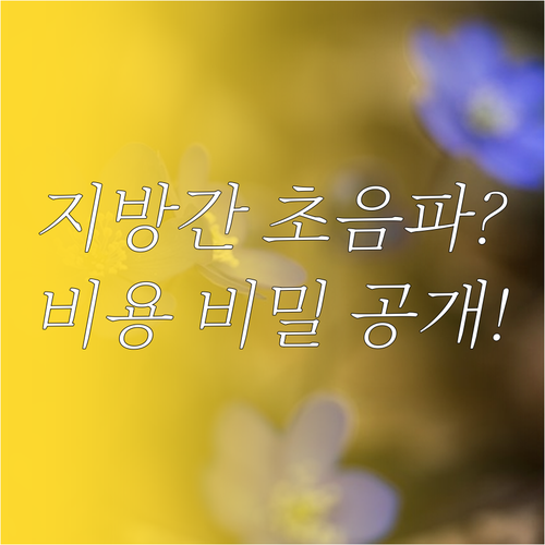 지방간 초음파 비급여 가격 결정 요소..