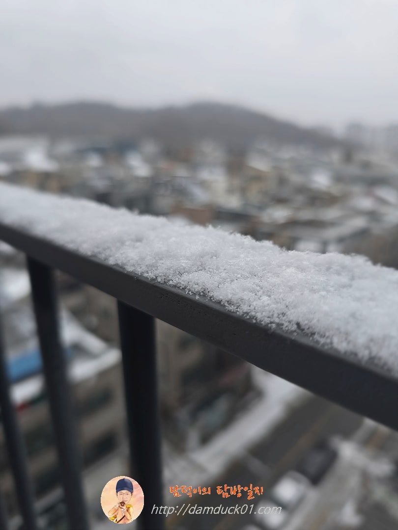 2026년 1월 12일 월요일