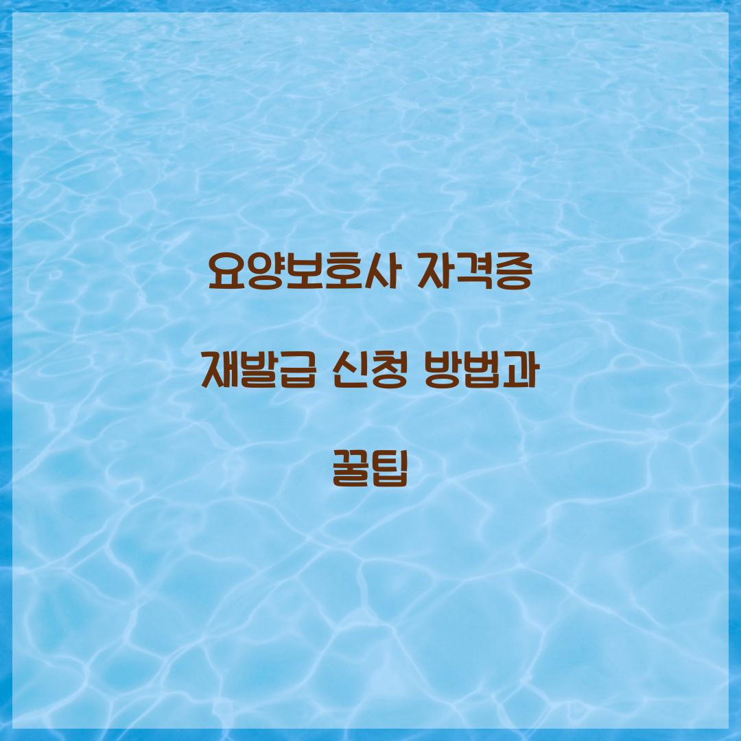 요양보호사 자격증 재발급