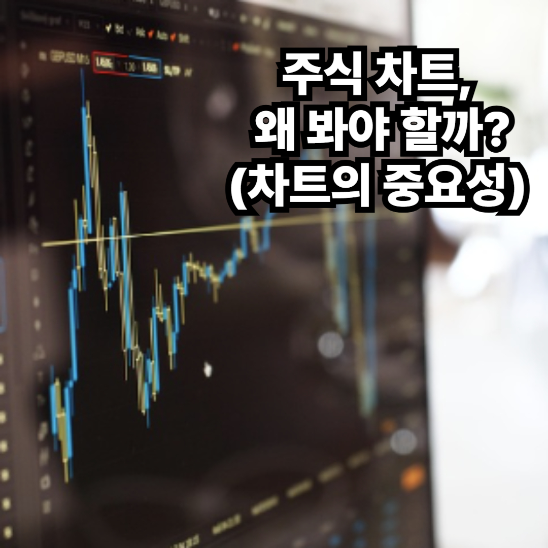 주식 차트 보는 법: 초보 투자자를 위한 필수 가이드