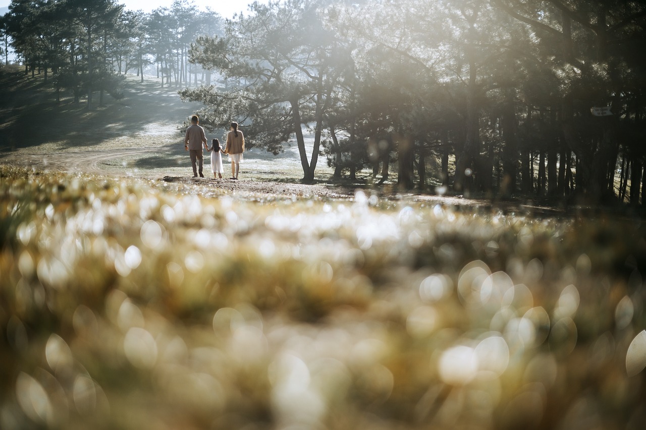 중고차 리스의 진실: 장단점과 추천 리스 방법