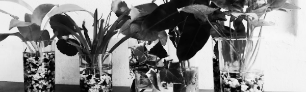 물에 적응하는 시간 필수