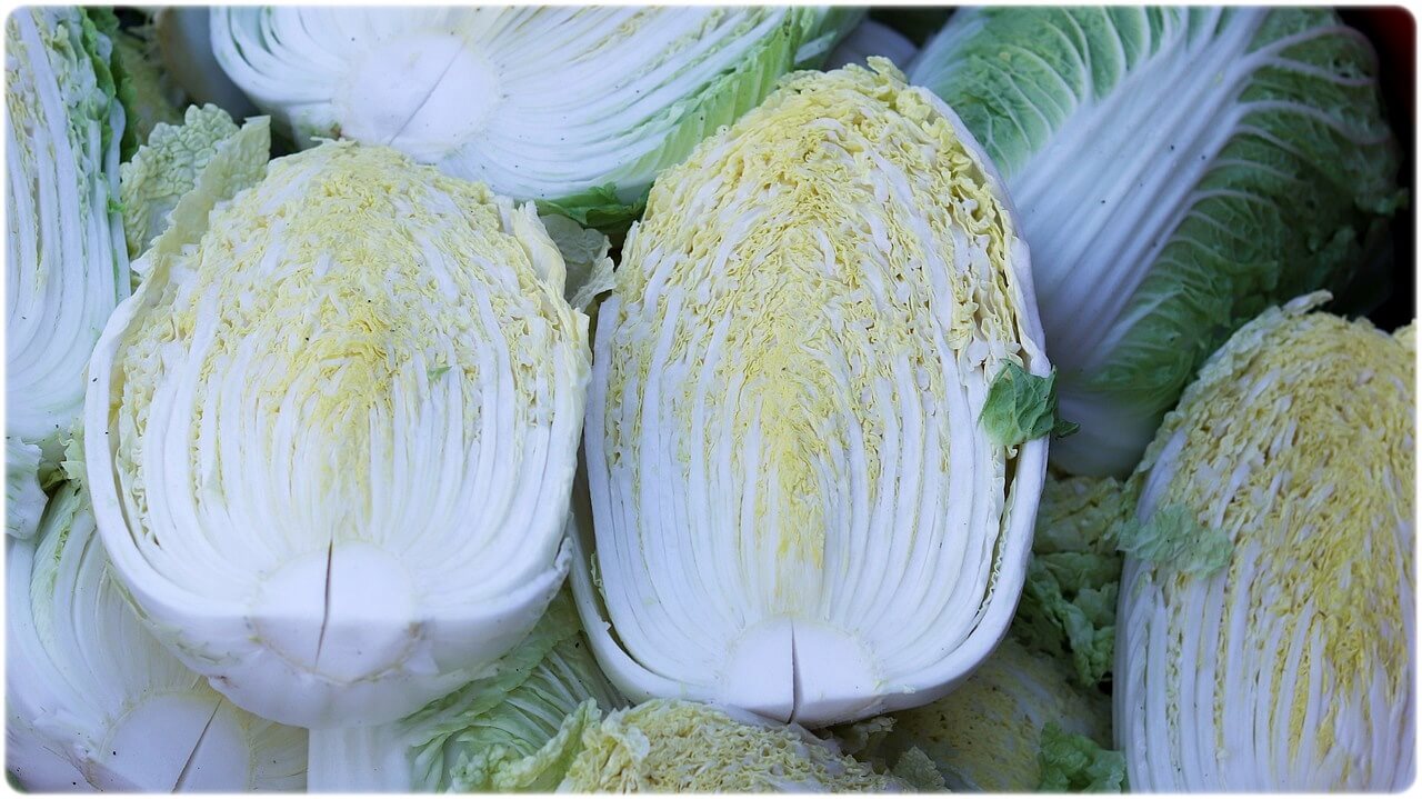 간 간암에 좋은 음식 안좋은 음식