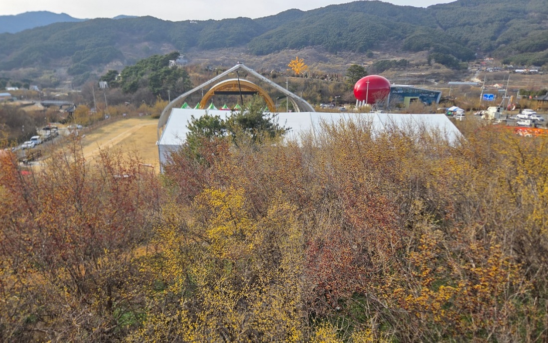 구례 산수유꽃축제 일정