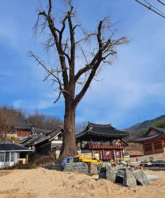 산청향교