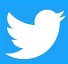 소셜 미디어 점유율(전세계 및 한국)