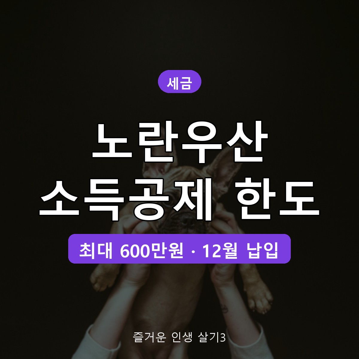 노란우산공제 소득공제 한도 2026, 소득별 최대 600만원과 연말 납입 요령