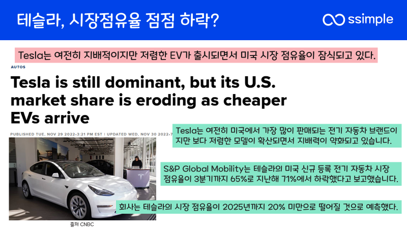 테슬라-시장점유율