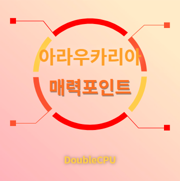 아라우카리아 매력포인트