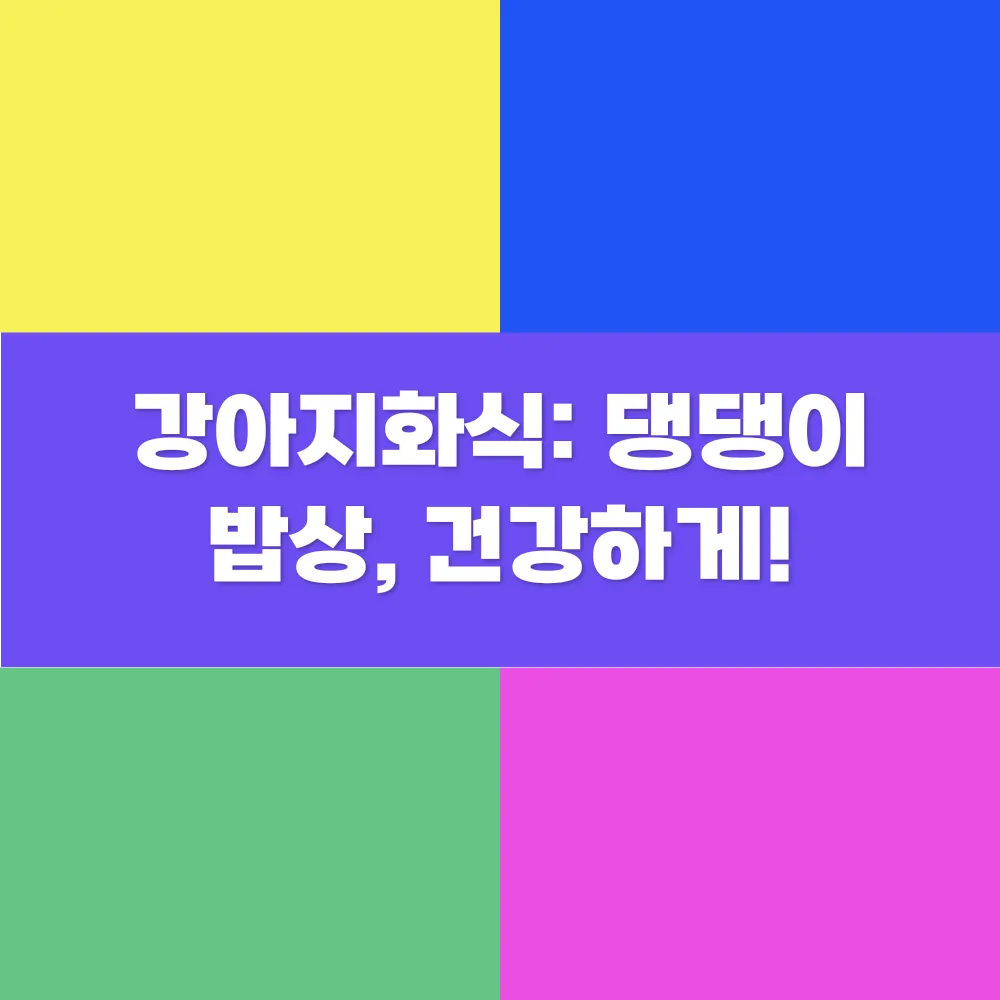 이미지_1