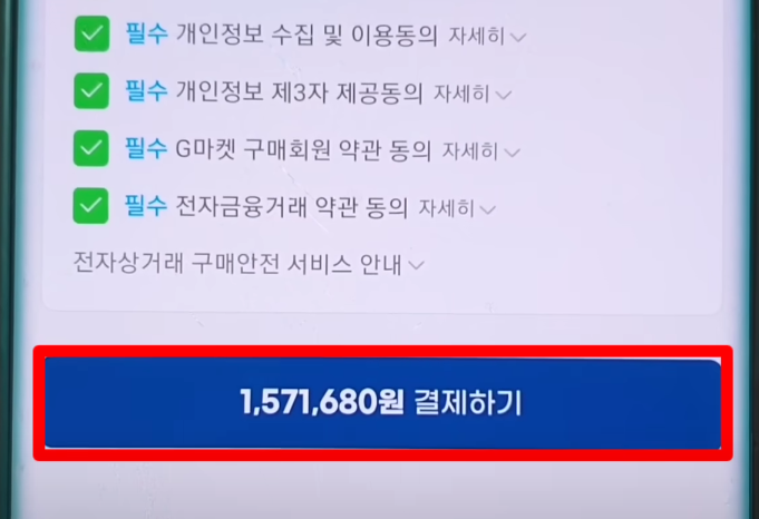 그냥 결제까지 하도록 놔두기