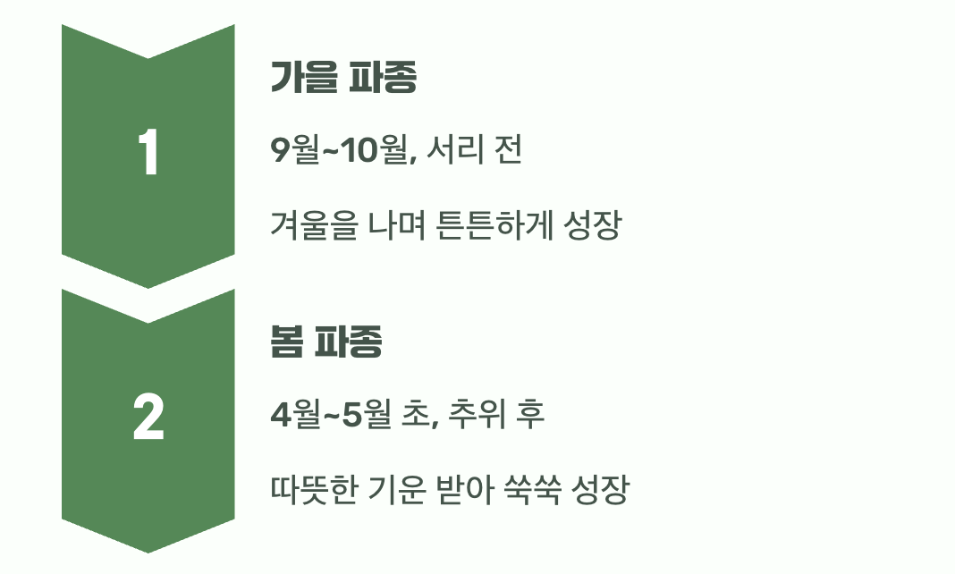 씨앗 뿌리기, 언제가 좋을까?