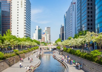 청계천 산책로 따라 걷는 혼자만의 서울 도보 여행