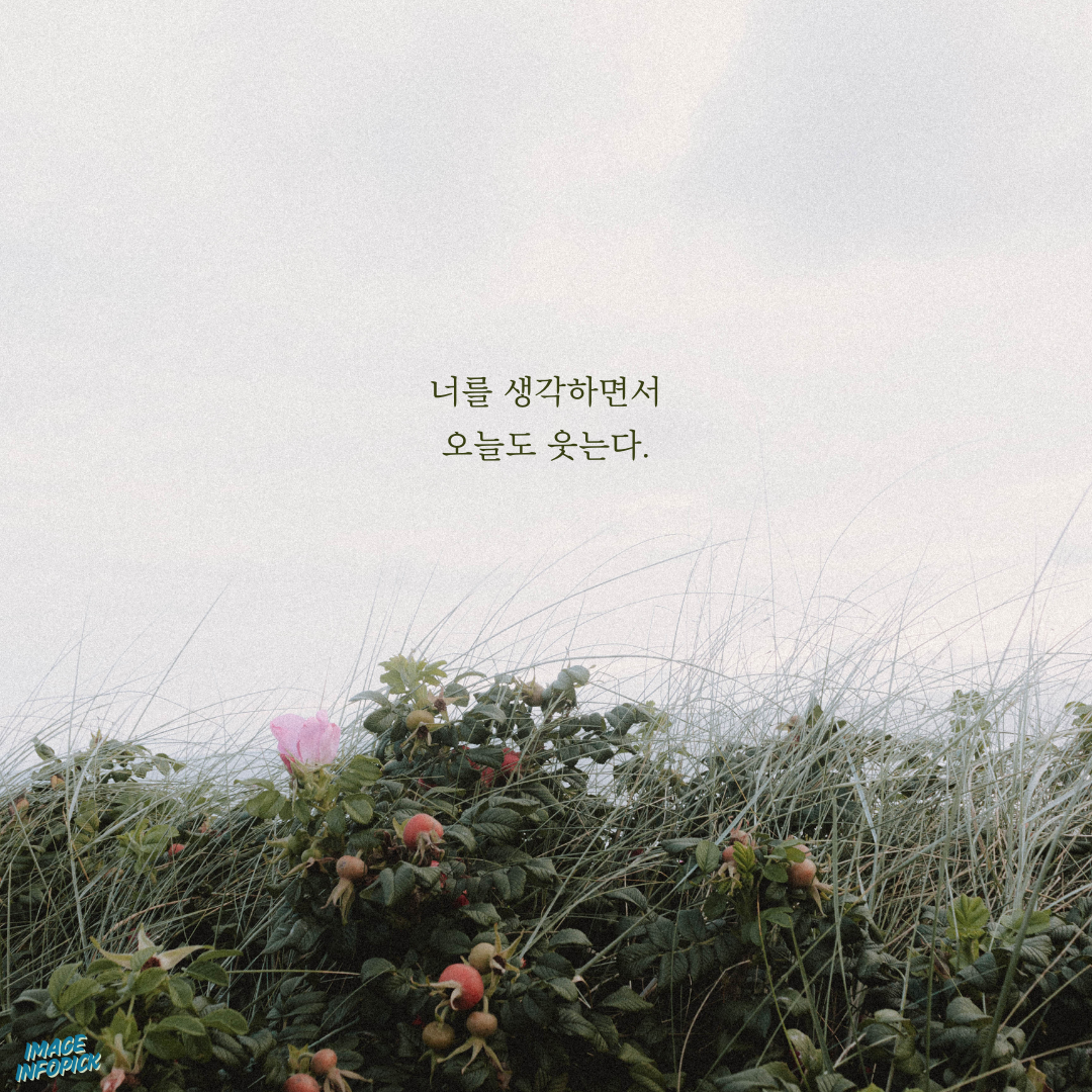 카톡 좋은 글귀 감성 글귀 감동 문구 이미지 모음