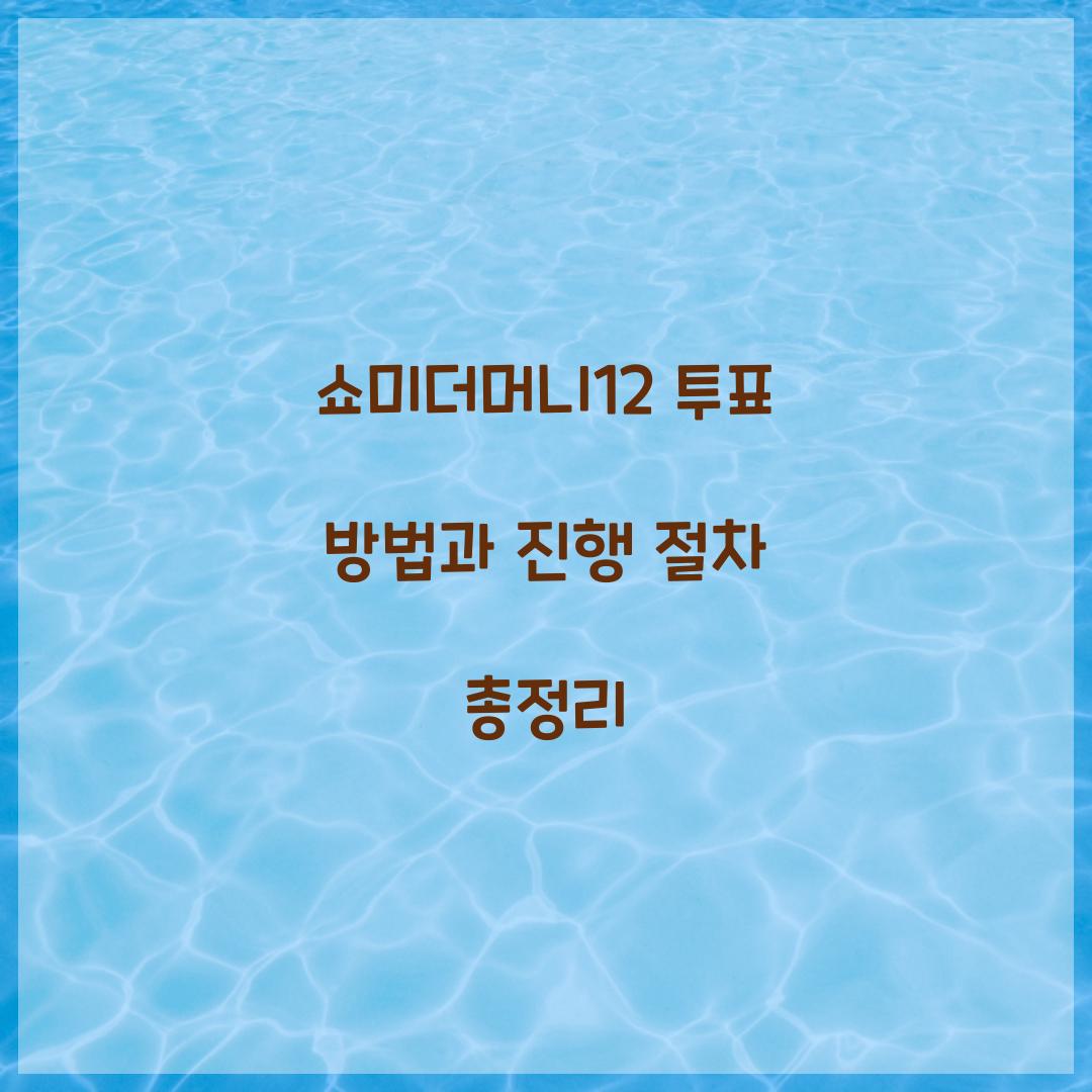 쇼미더머니12 투표