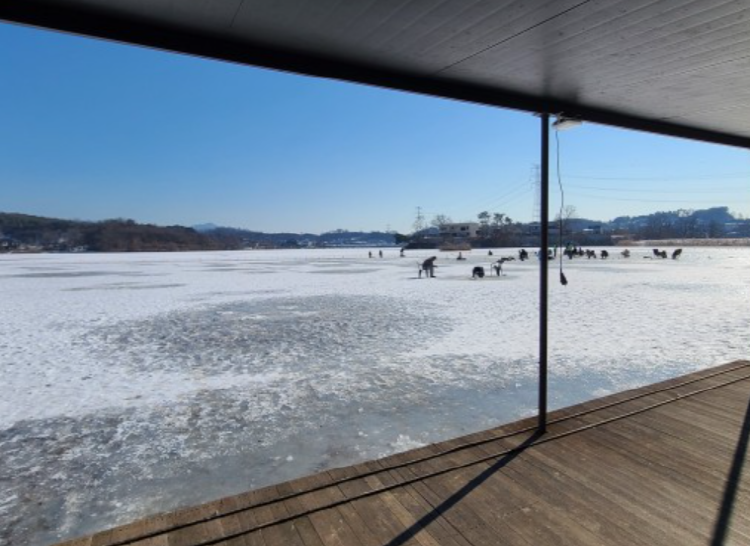 양평 산수유마을 빙어축제
