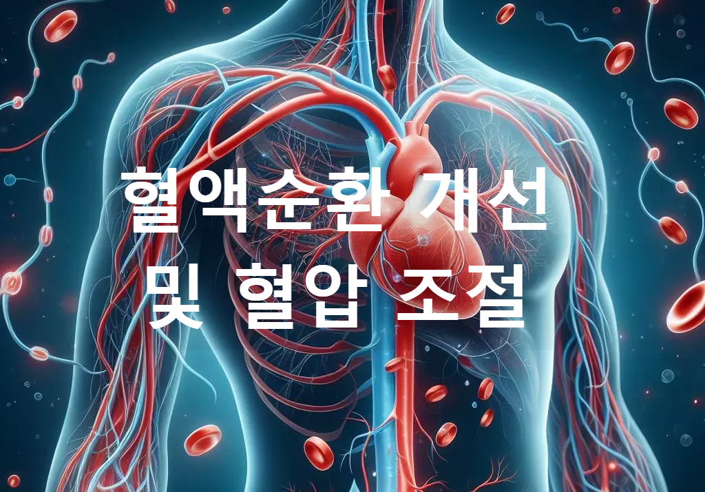 나토키나제 효능
2. 혈액순환 개선 및 혈압 조절