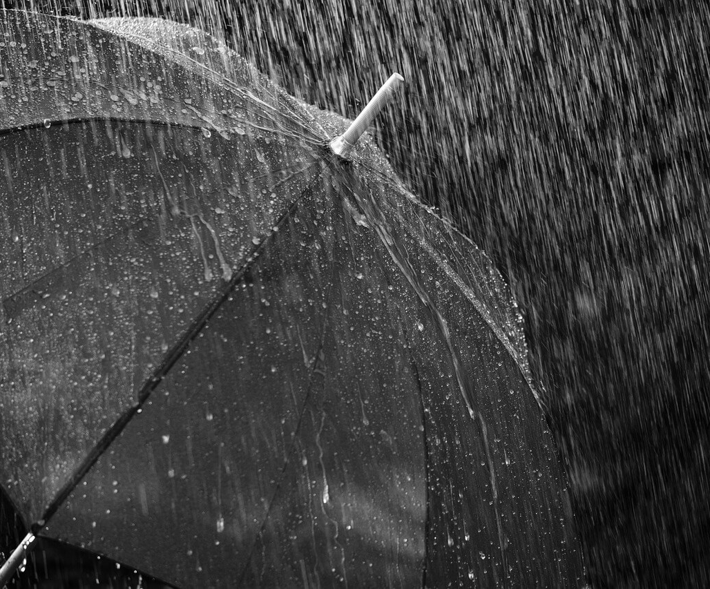 비와 우산