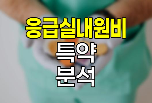 메리츠화재 응급실내원비 1~3등급 특약 심층 분석
