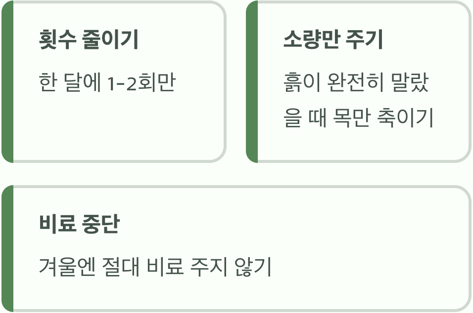 겨울잠 재우기&amp;#44; &amp;#39;물 주기&amp;#39;의 변화
